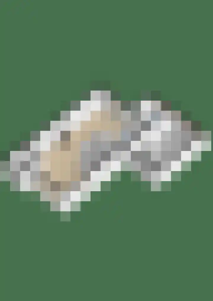 Molefinne 29 Heeg thumbnail 56