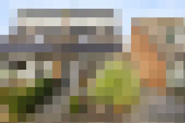 Molefinne 29 Heeg thumbnail 7