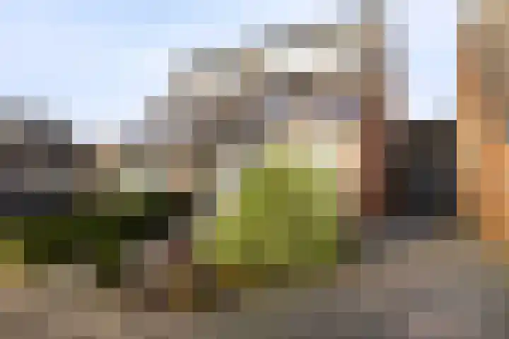 Molefinne 29 Heeg thumbnail 8