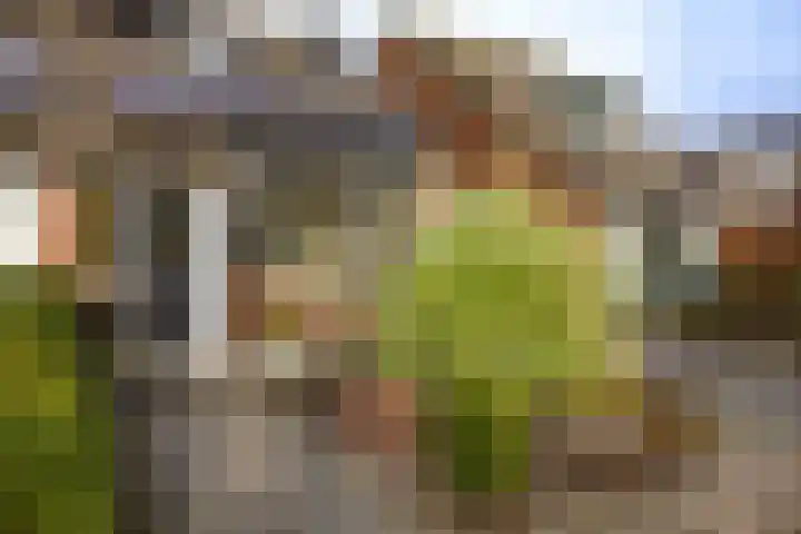 Molefinne 29 Heeg thumbnail 9