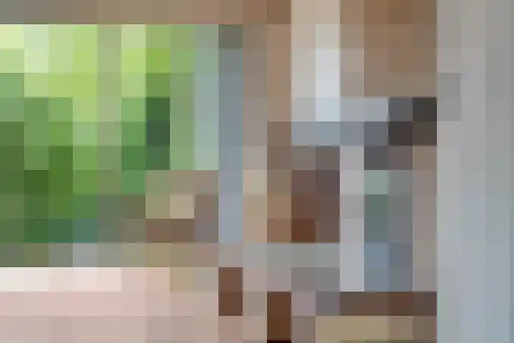 Molefinne 51 Heeg thumbnail 13