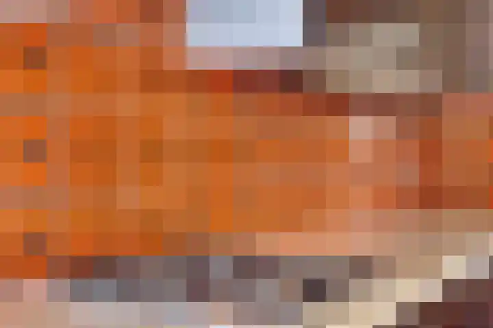 Molefinne 51 Heeg thumbnail 17