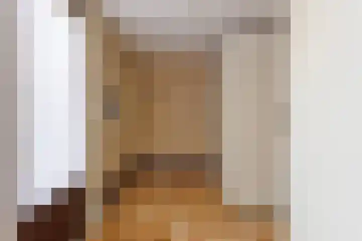 Molefinne 51 Heeg thumbnail 18