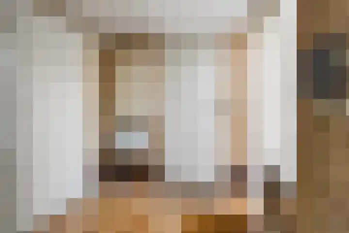 Molefinne 51 Heeg thumbnail 19