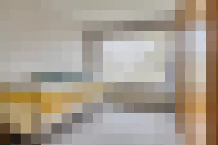Molefinne 51 Heeg thumbnail 23
