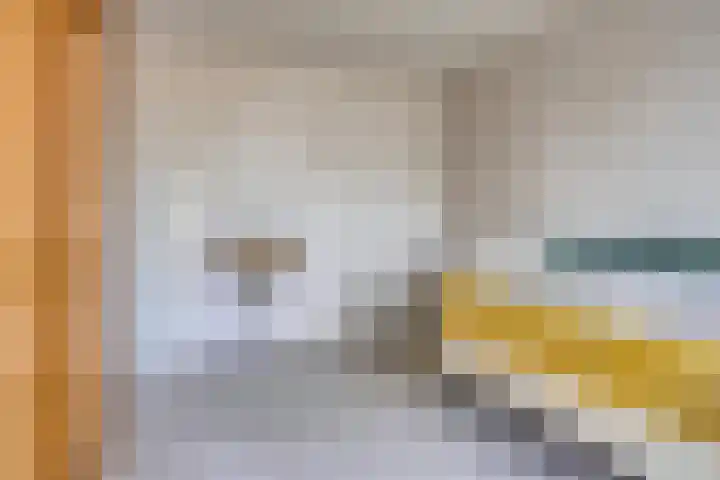 Molefinne 51 Heeg thumbnail 24