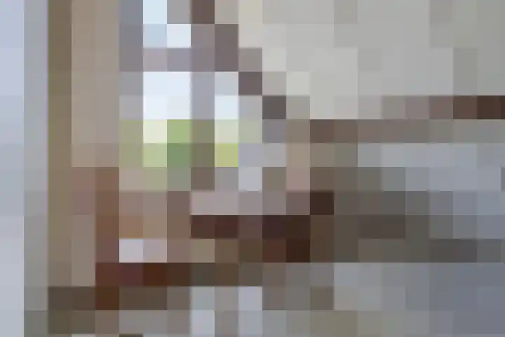 Molefinne 51 Heeg thumbnail 29
