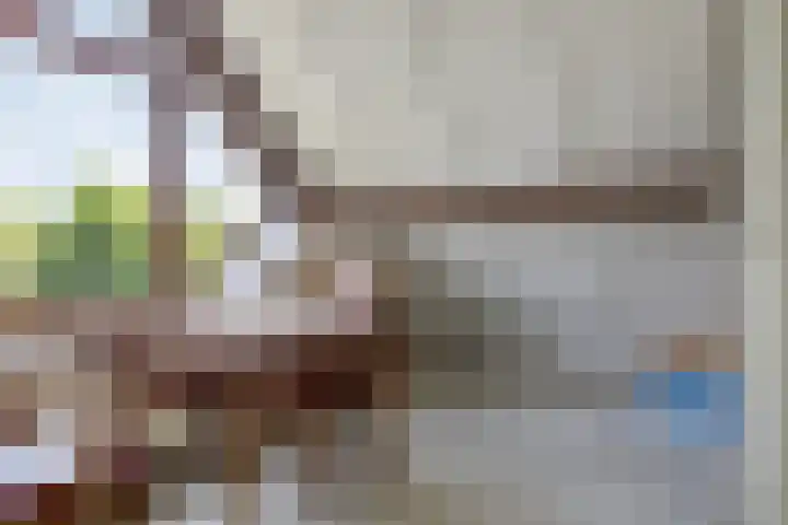 Molefinne 51 Heeg thumbnail 30