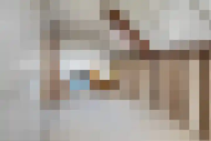 Molefinne 51 Heeg thumbnail 34