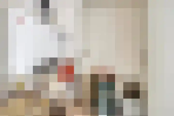 Molefinne 51 Heeg thumbnail 35