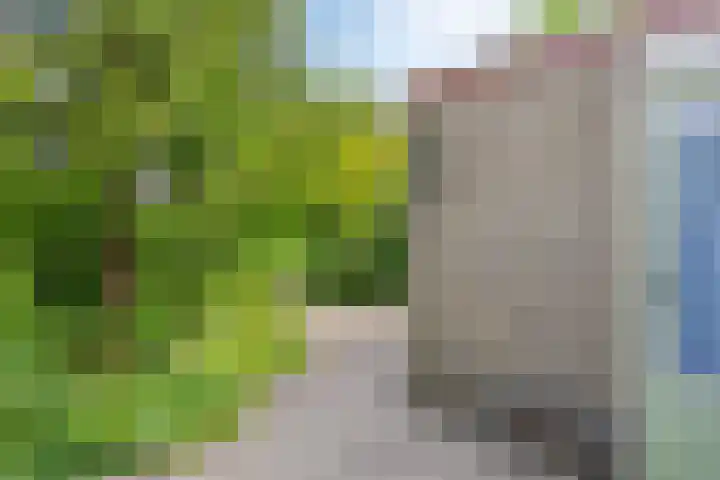 Molefinne 51 Heeg thumbnail 36
