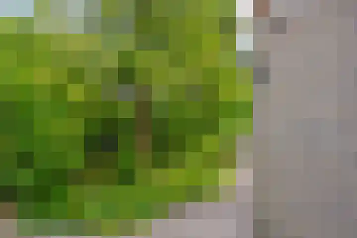 Molefinne 51 Heeg thumbnail 37
