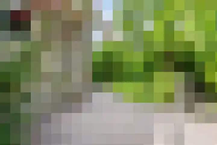Molefinne 51 Heeg thumbnail 39