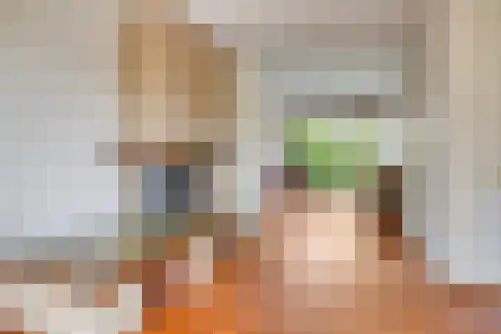 Molefinne 51 Heeg thumbnail 4