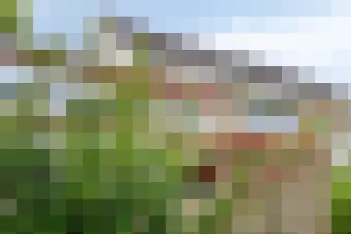 Molefinne 51 Heeg thumbnail 40