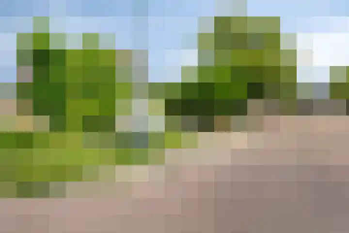 Molefinne 51 Heeg thumbnail 41