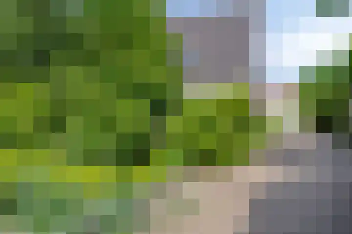 Molefinne 51 Heeg thumbnail 42
