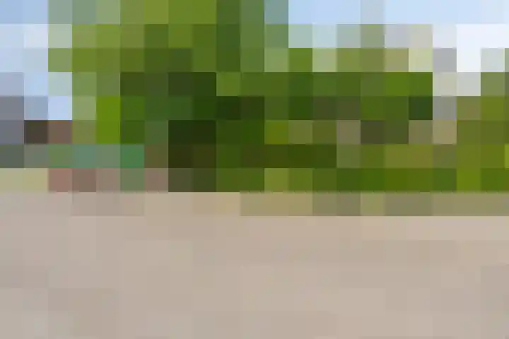 Molefinne 51 Heeg thumbnail 43