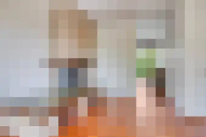 Molefinne 51 Heeg thumbnail 5