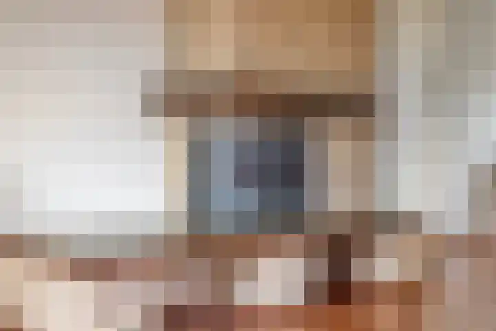 Molefinne 51 Heeg thumbnail 7