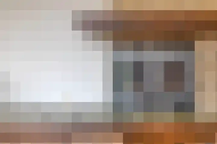 Molefinne 51 Heeg thumbnail 8