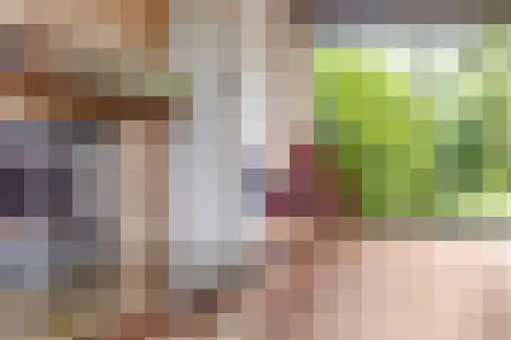 Molefinne 51 Heeg thumbnail 9