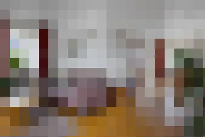 Molefinne 53 Heeg thumbnail 11