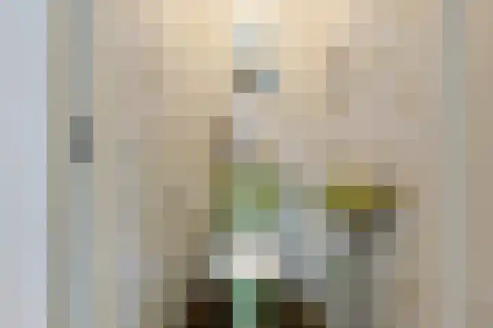 Molefinne 53 Heeg thumbnail 18