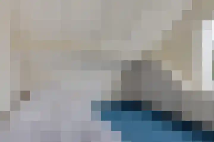 Molefinne 53 Heeg thumbnail 25