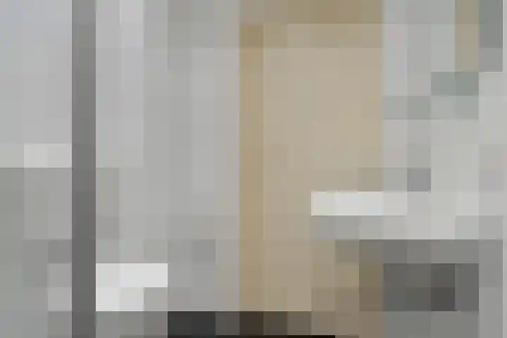 Molefinne 53 Heeg thumbnail 29