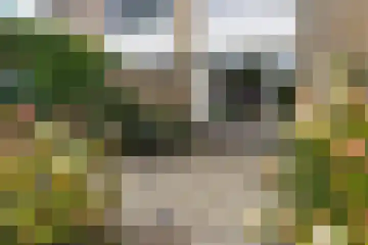Molefinne 53 Heeg thumbnail 34