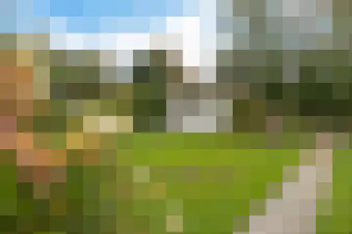 Molefinne 53 Heeg thumbnail 36