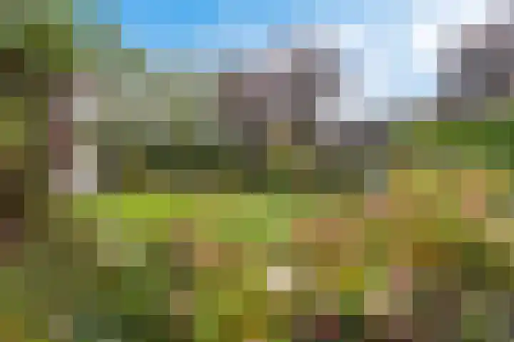 Molefinne 53 Heeg thumbnail 37