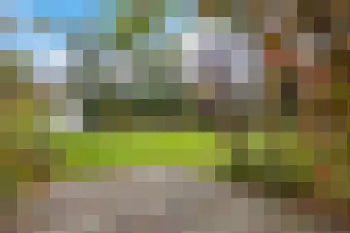 Molefinne 53 Heeg thumbnail 38
