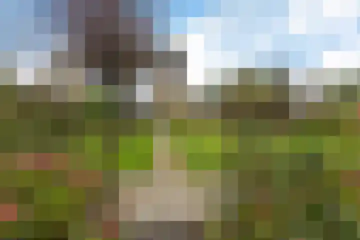 Molefinne 53 Heeg thumbnail 39