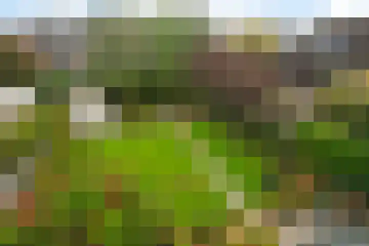 Molefinne 53 Heeg thumbnail 4