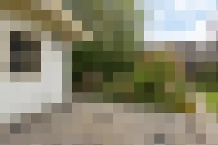 Molefinne 53 Heeg thumbnail 40