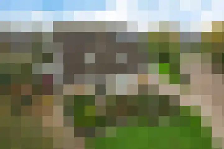 Molefinne 53 Heeg thumbnail 42