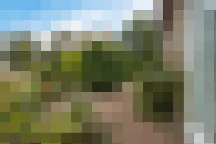 Molefinne 53 Heeg thumbnail 43