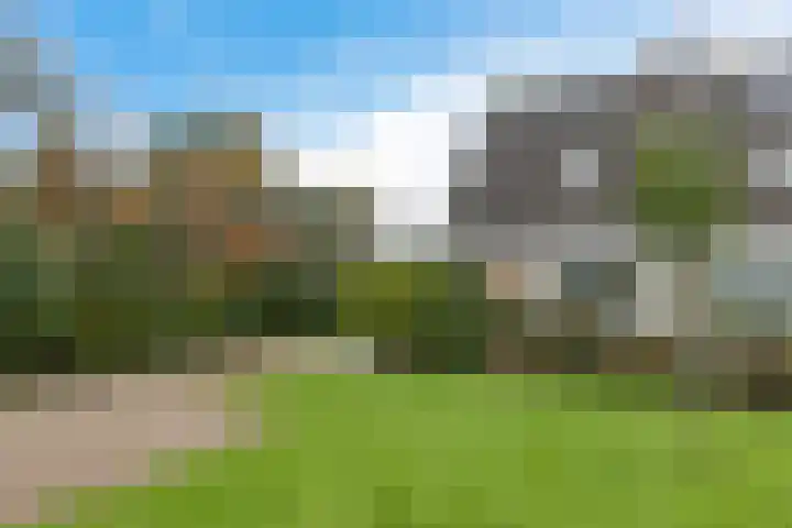 Molefinne 53 Heeg thumbnail 44