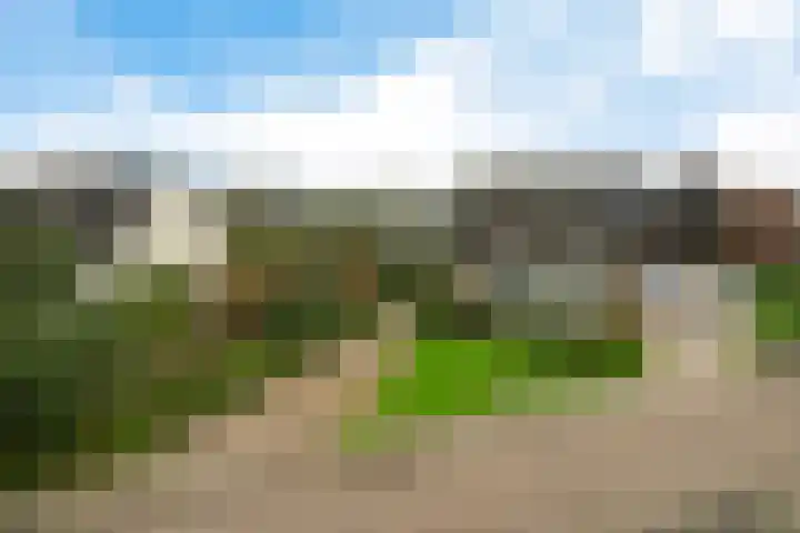 Molefinne 53 Heeg thumbnail 45