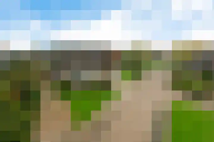 Molefinne 53 Heeg thumbnail 46