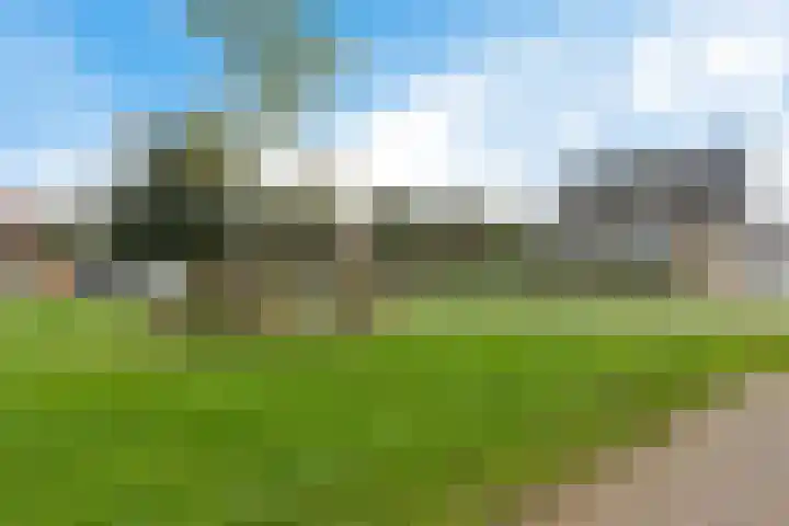 Molefinne 53 Heeg thumbnail 47