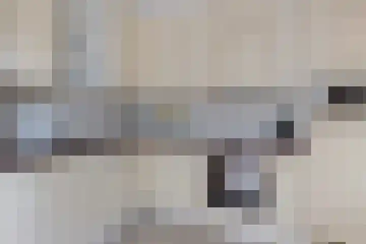 Molefinne 53 Heeg thumbnail 8