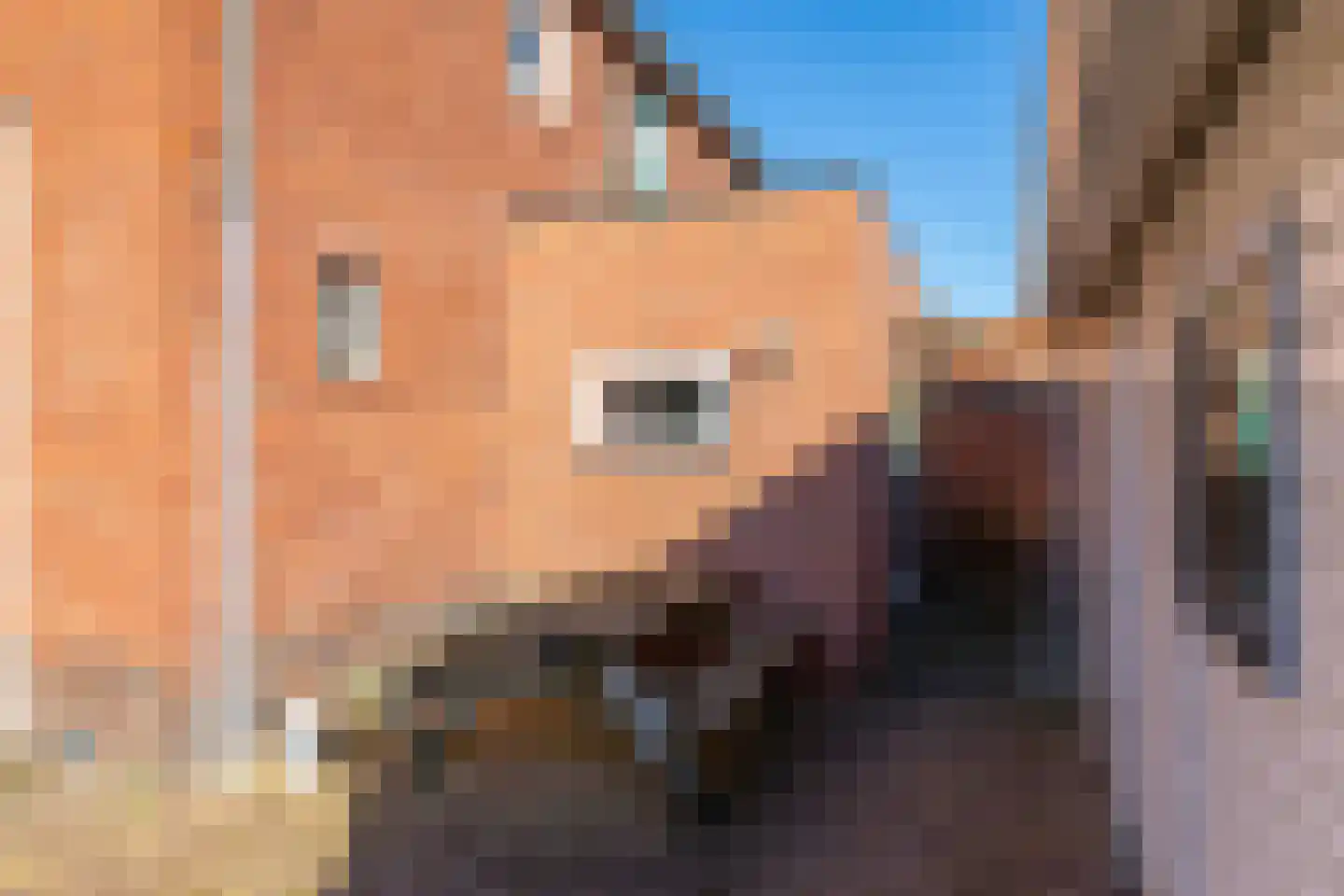 Molen A laan 13 Ter Apel thumbnail 23