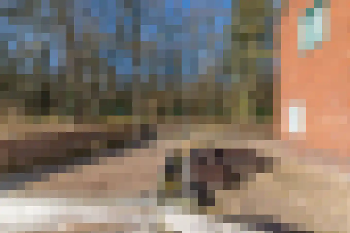Molen A laan 13 Ter Apel thumbnail 28