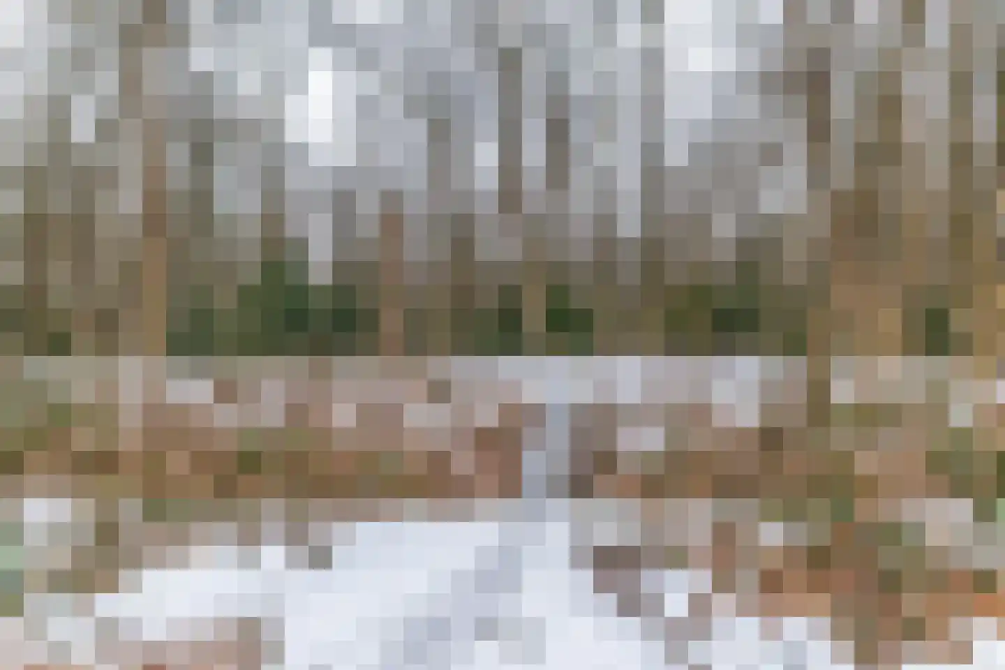 Molen A laan 13 Ter Apel thumbnail 31