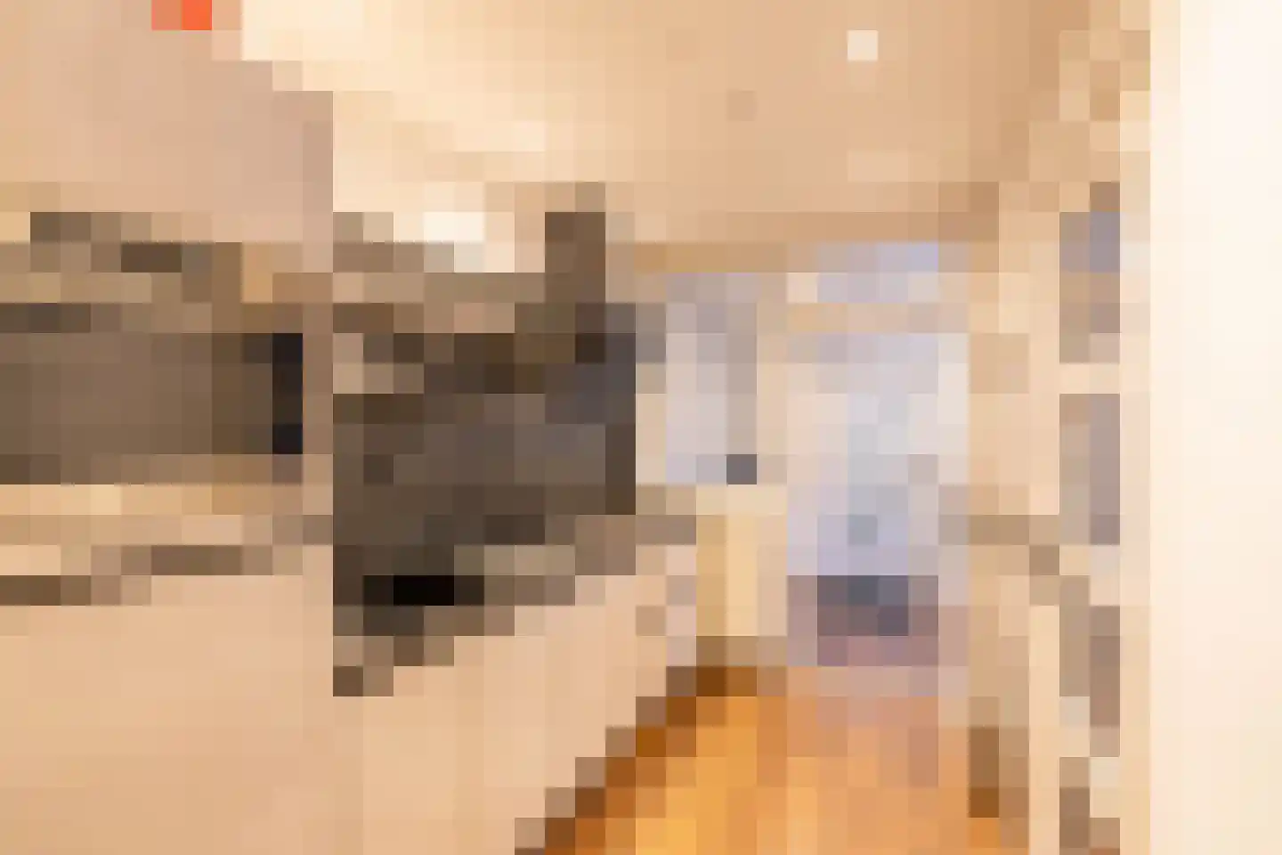 Molen A laan 13 Ter Apel thumbnail 9