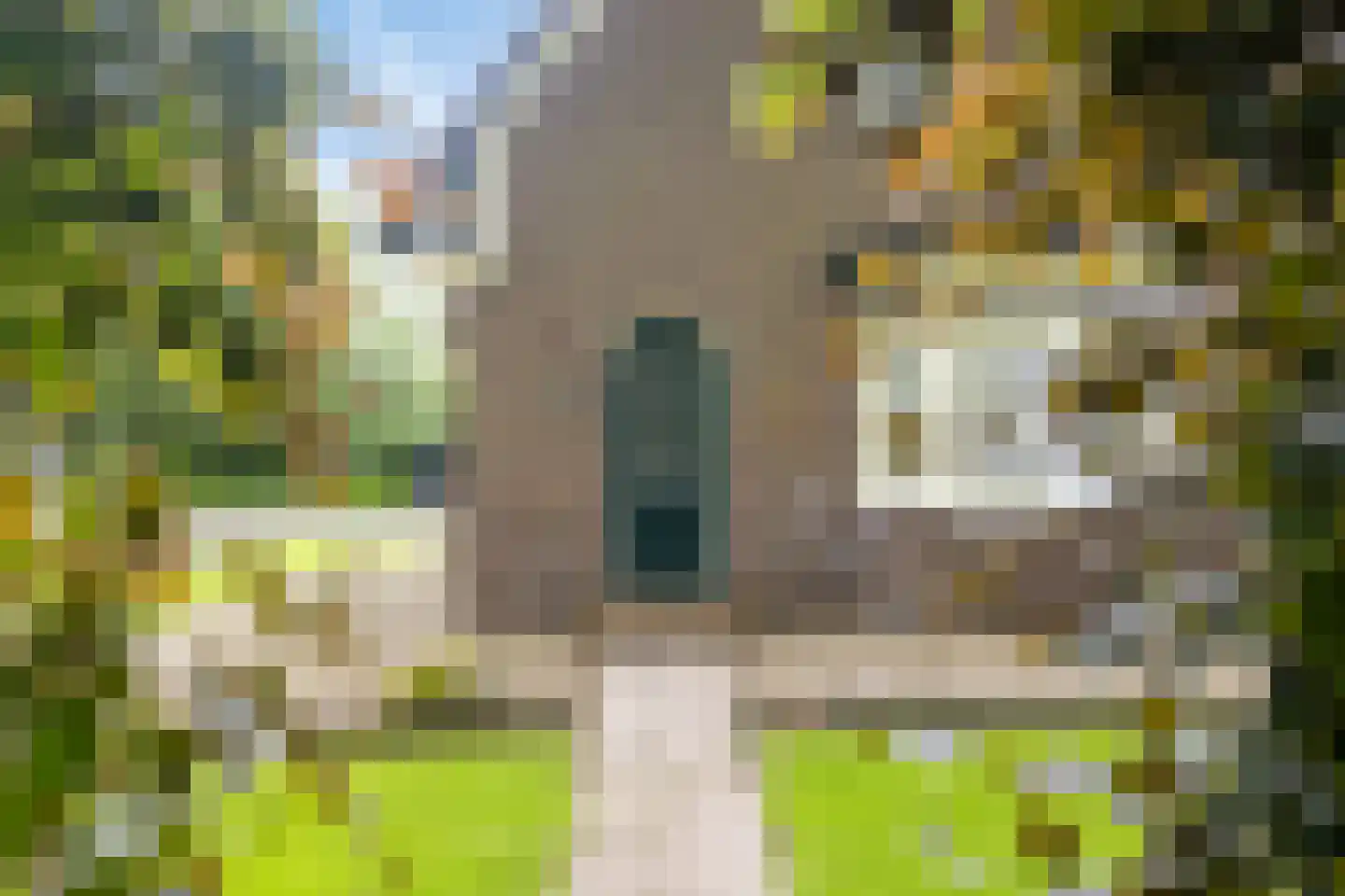 Molen-Allee 25 Loenen thumbnail 4