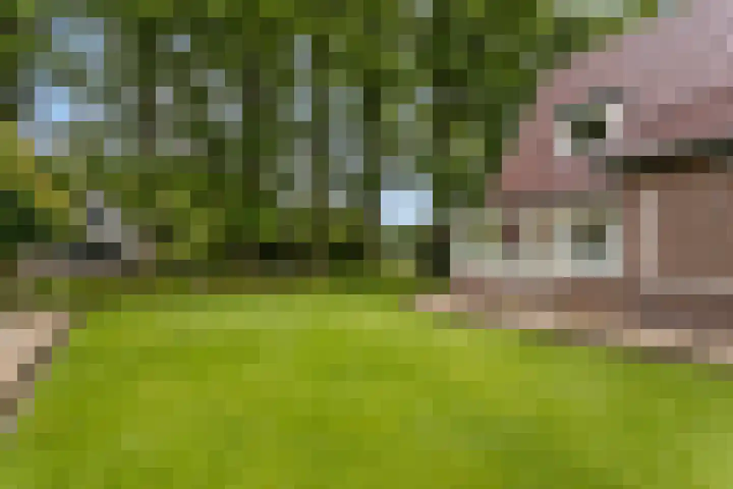 Molen-Allee 25 Loenen thumbnail 42